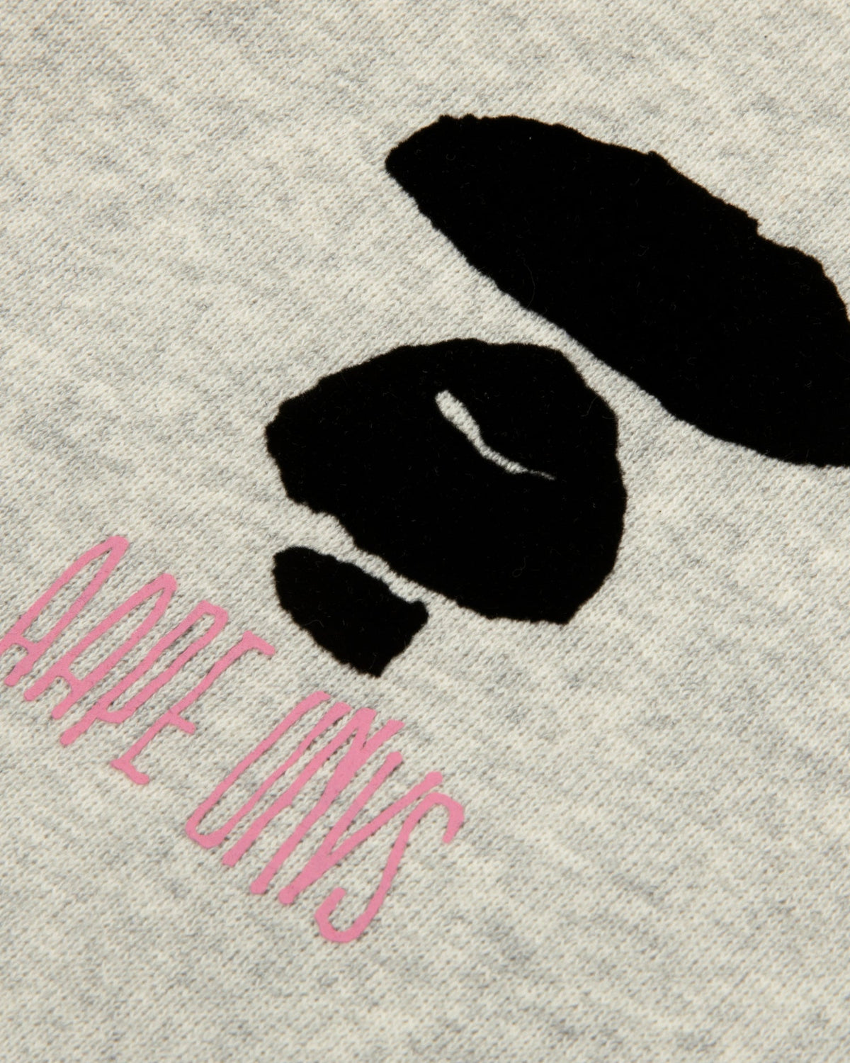 香港直郵 Aape 男裝 26秋冬猿人字母印花加絨休閒連帽拉鏈衛衣E305 sweater AAPSWME305XAR