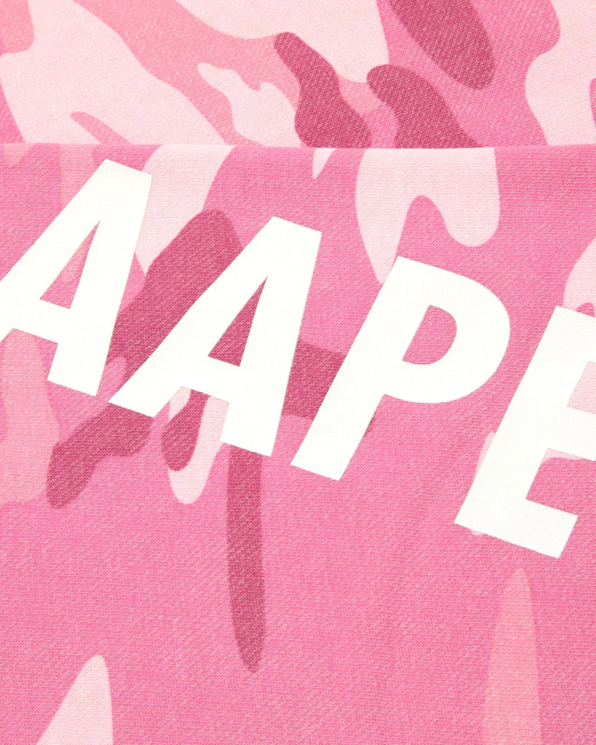 香港直郵 26秋冬 AAPENOW 迷彩加絨衛衣 AAPSWME369XXR