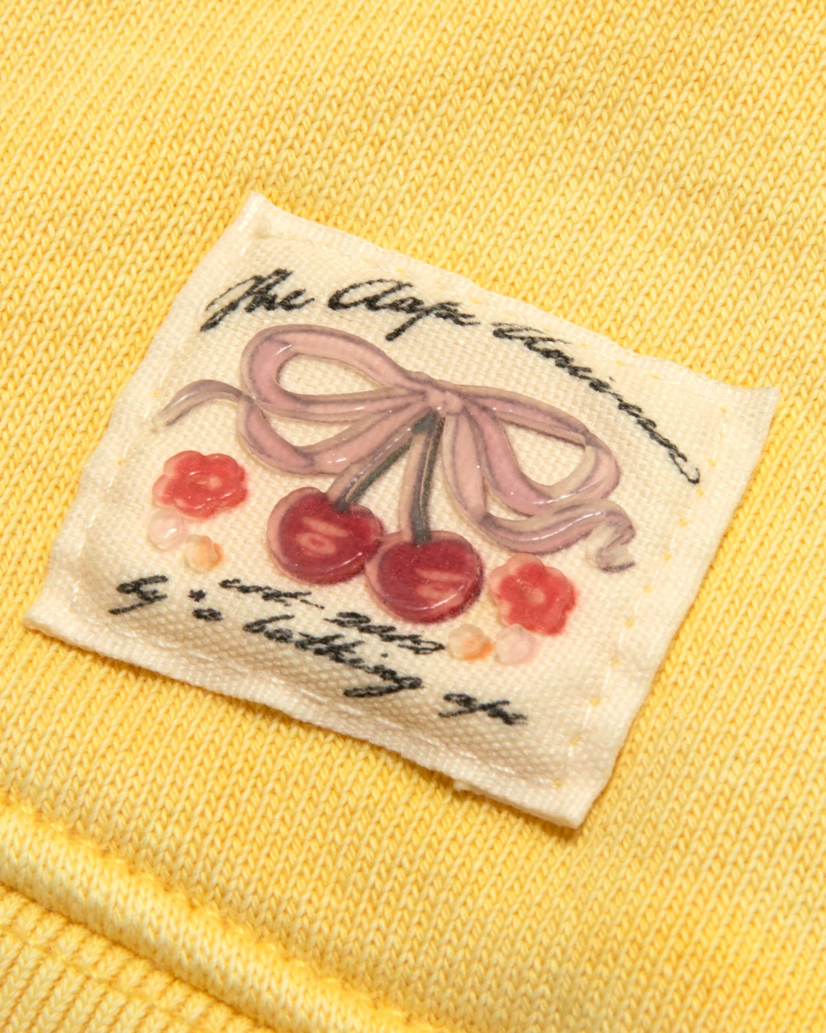 香港直郵 Aape 女裝 26秋冬水洗做舊花卉印花短款連帽衛衣E352 AAPSWWE352XXR