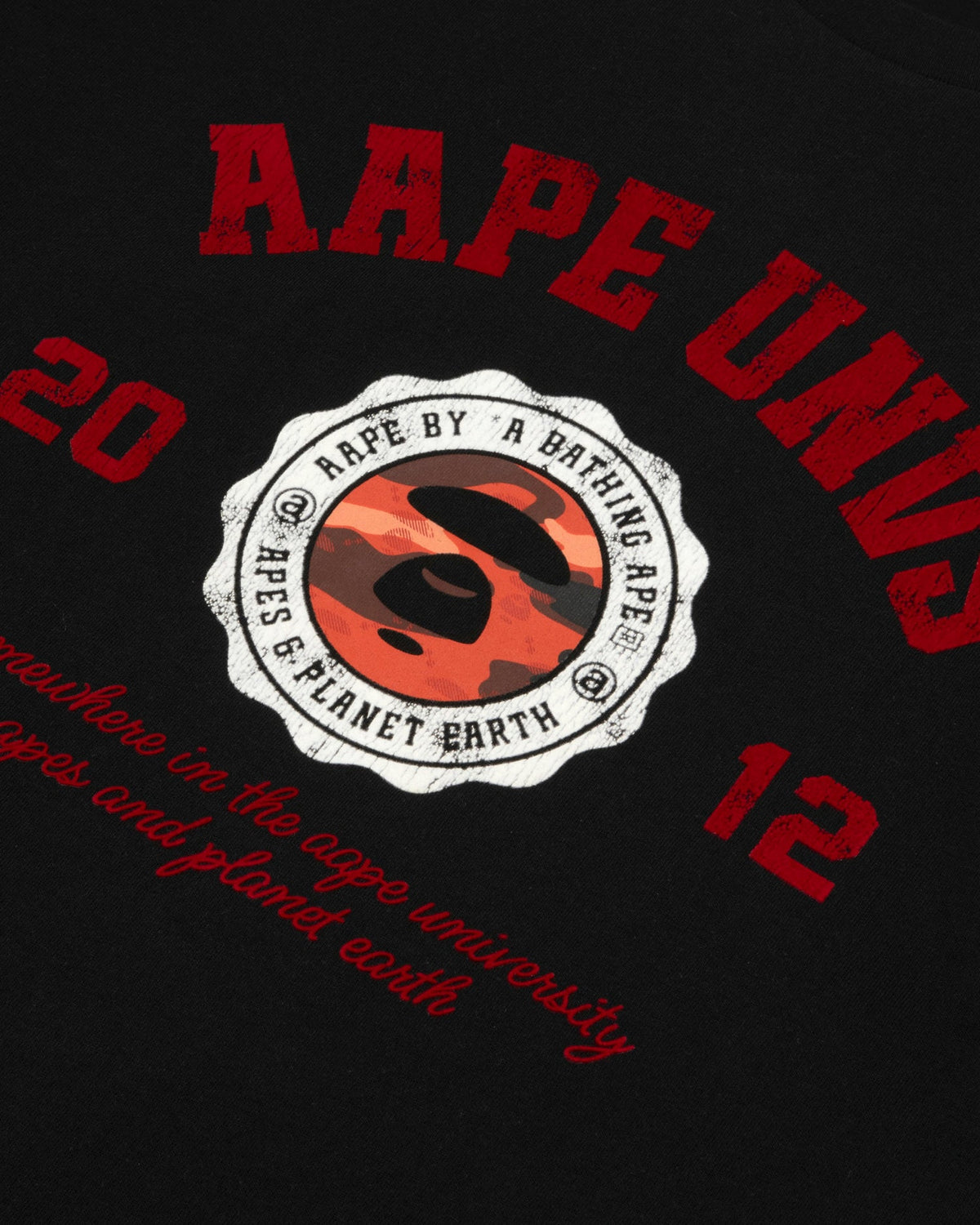 香港直郵 Aape 男裝 26秋冬迷彩猿人徽章做舊字母裂紋潮流短袖T卹1959 AAPTEM1959XXR