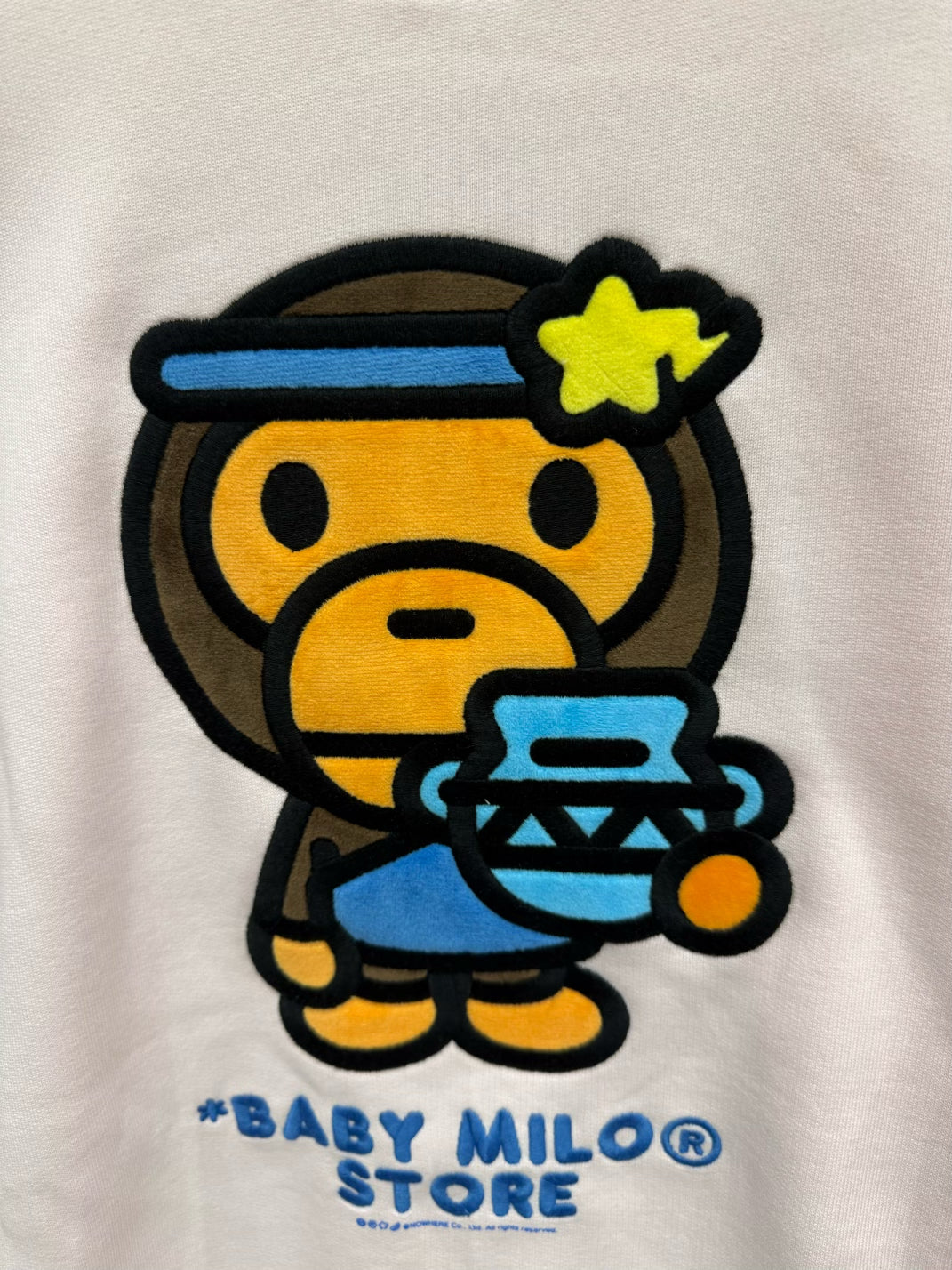 BABY MILO STORE 水瓶座小猴加絨長袖圓領衛衣3048